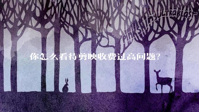 你怎么看待剪映收费过高问题？