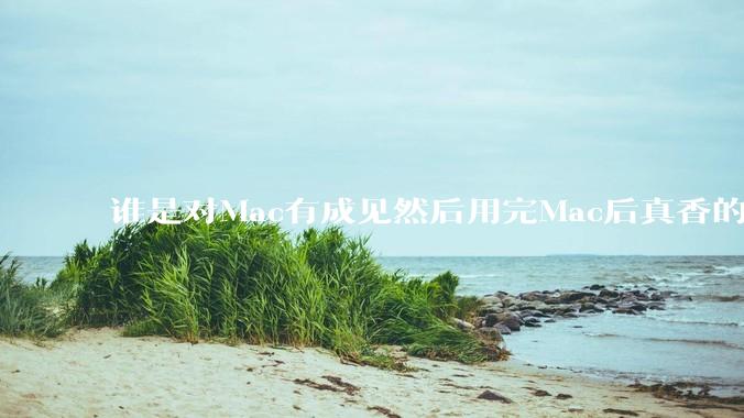 谁是对Mac有成见然后用完Mac后真香的？