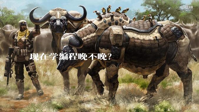 现在学编程晚不晚？